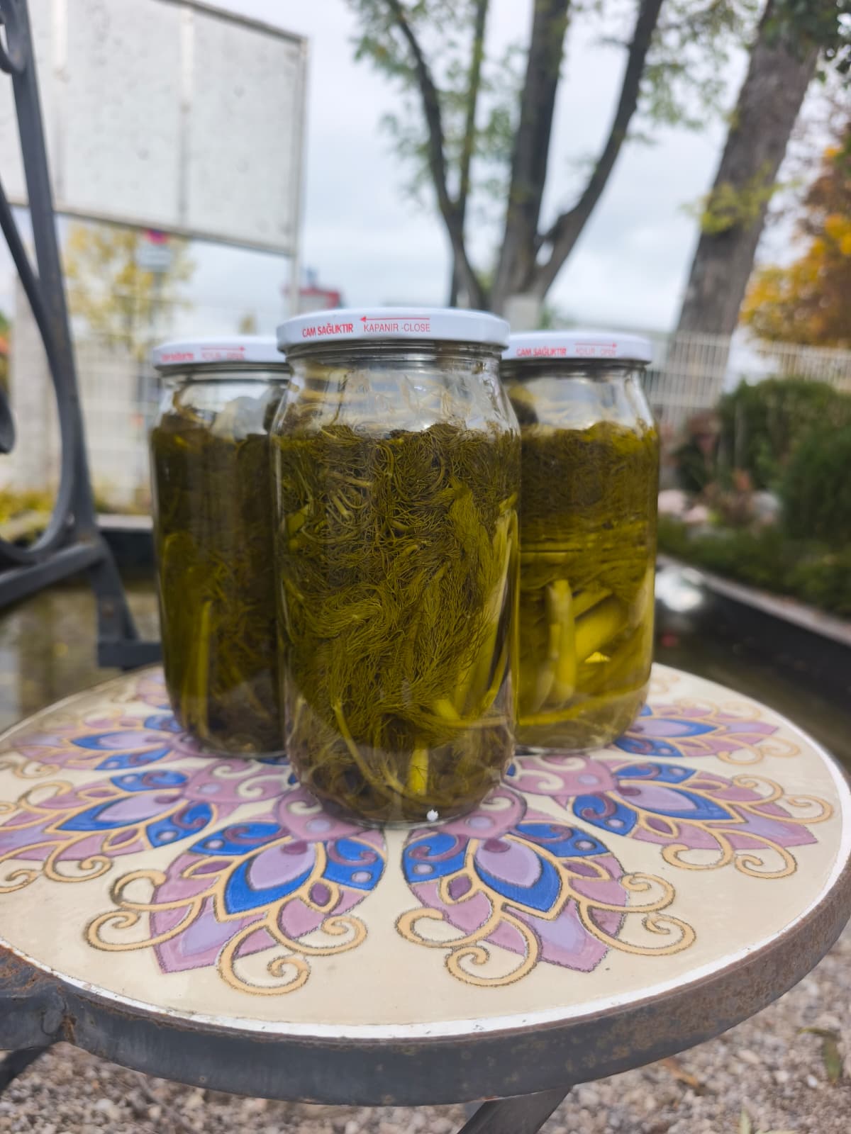 Eingelegte Fenchelstiele im Glas