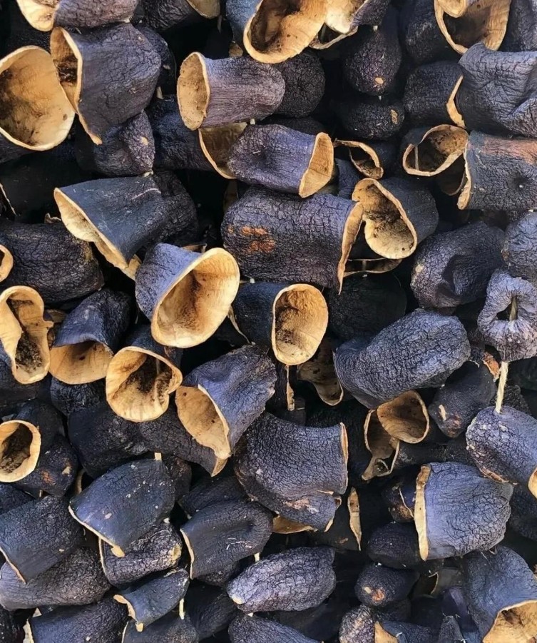 Aubergine getrocknet